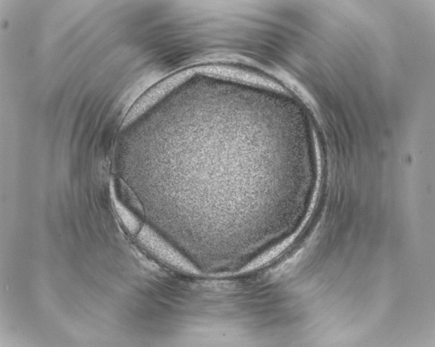 X0000088890953200706291436