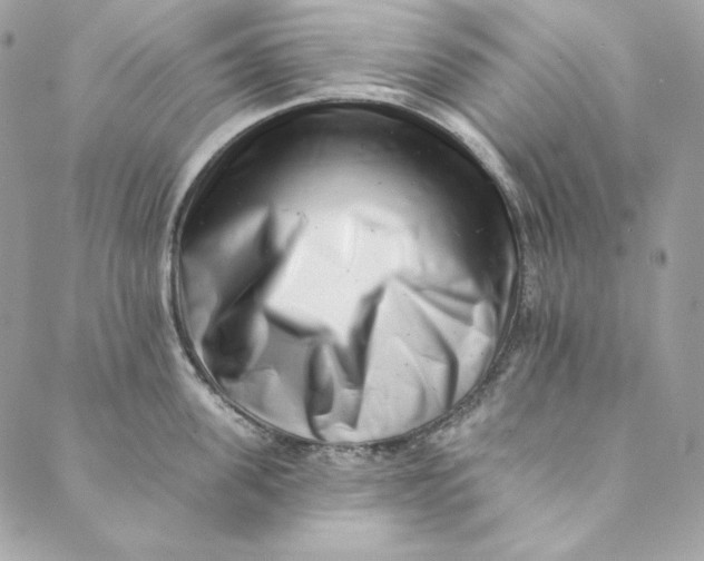 X0000088890955200706291436