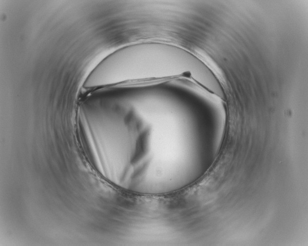 X0000088890956200706291436