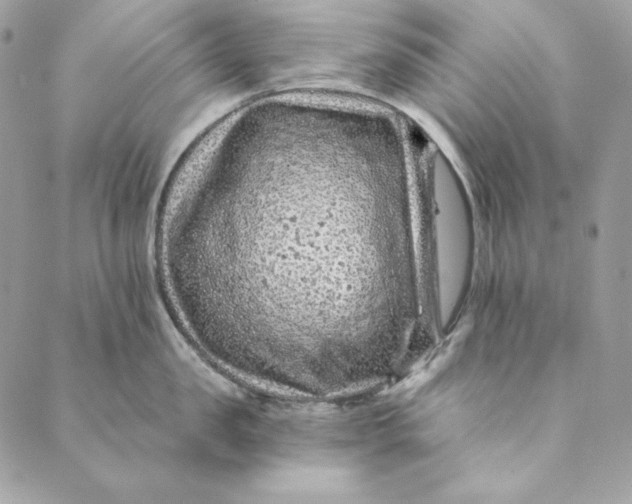 X0000088890957200706291436