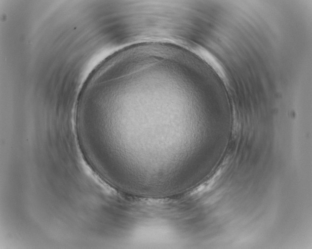 X0000088890958200706291436