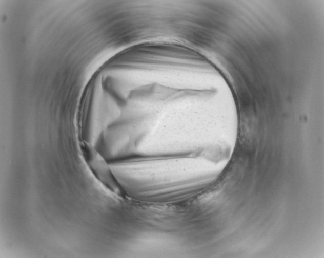 X0000088890959200706291436