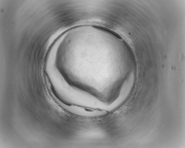 X0000088890960200706291436