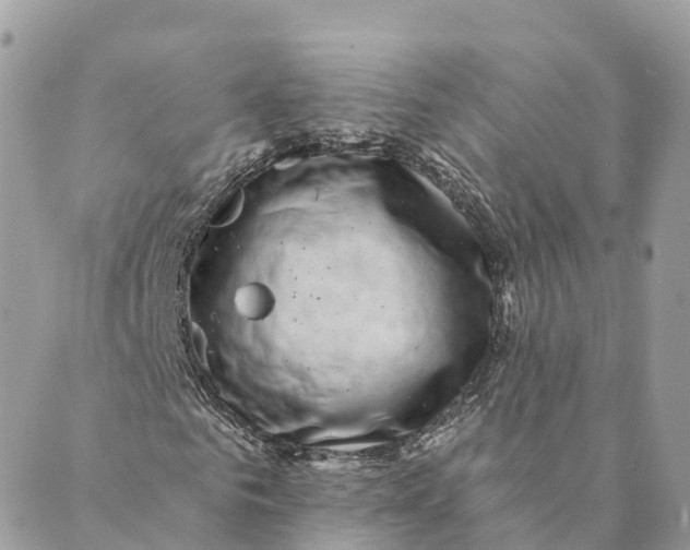 X0000088890961200706291436