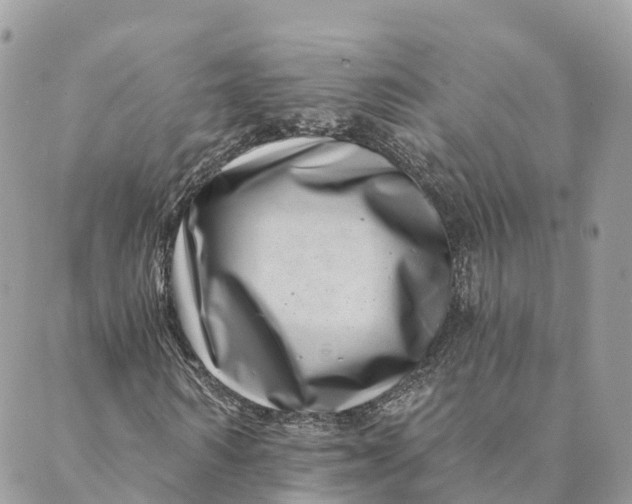 X0000088890962200706291436