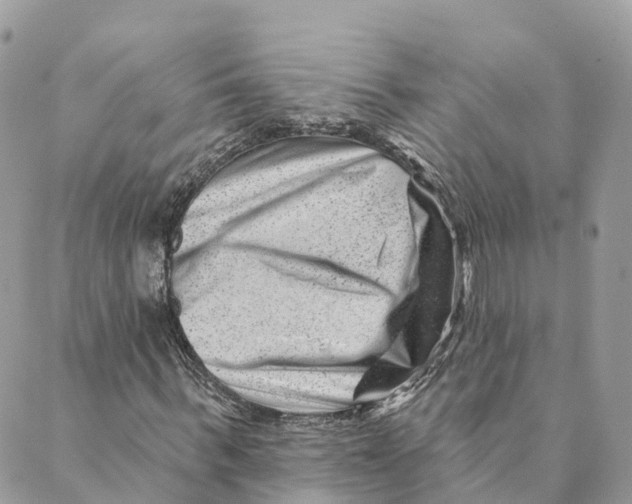 X0000088890963200706291436