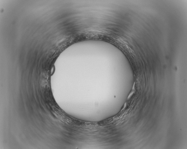 X0000088890964200706291436