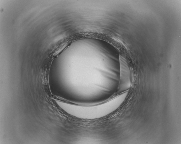 X0000088890965200706291436