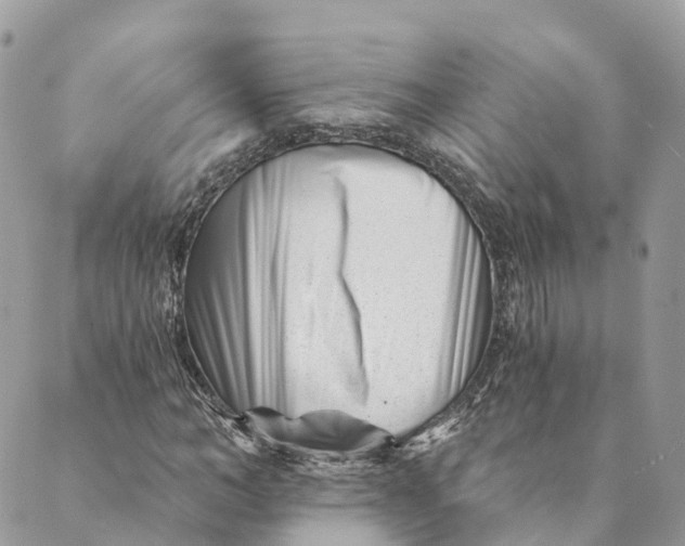 X0000088890966200706291436