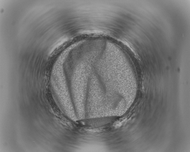 X0000088890967200706291436