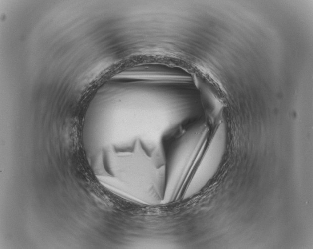 X0000088890968200706291436