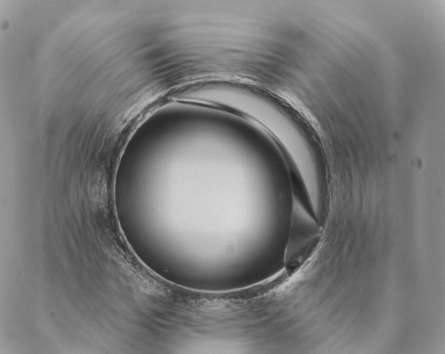 X0000088890969200706291436