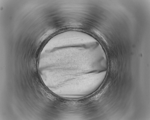 X0000088890970200706291436