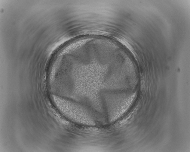 X0000088890971200706291436