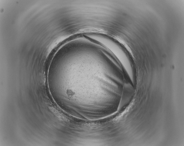 X0000088890973200706291435