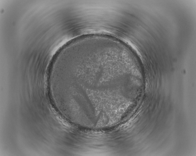 X0000088890975200706291435