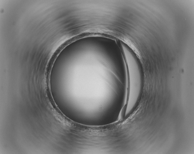 X0000088890976200706291435