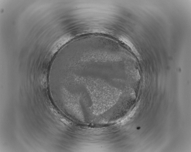 X0000088890977200706291435