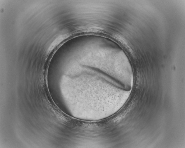 X0000088890978200706291435