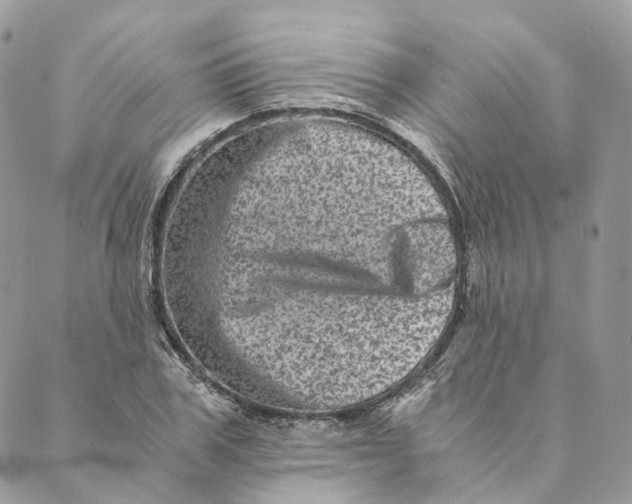 X0000088890979200706291435