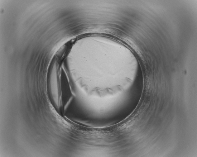 X0000088890980200706291435