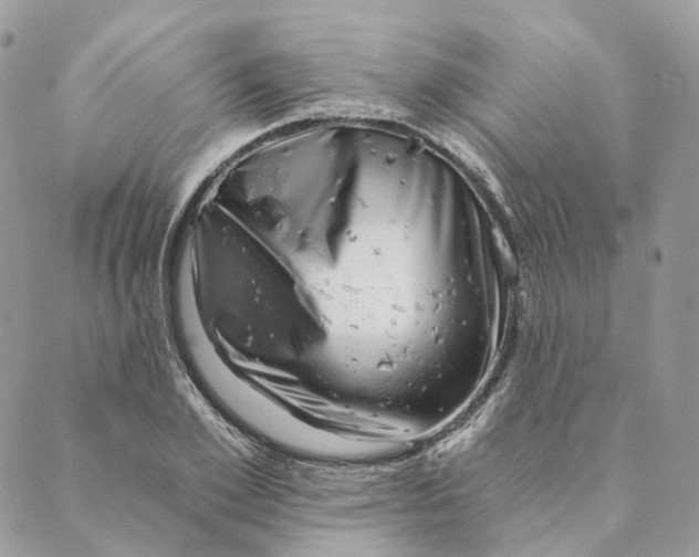 X0000088890981200706291435