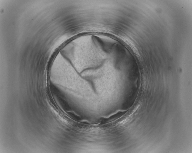 X0000088890982200706291435