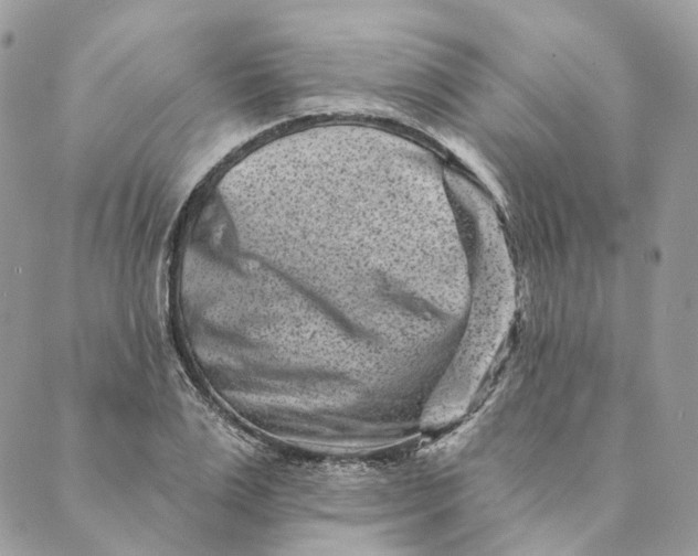 X0000088890983200706291435