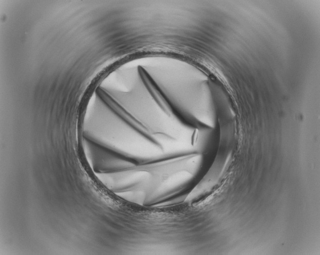 X0000088890984200706291435