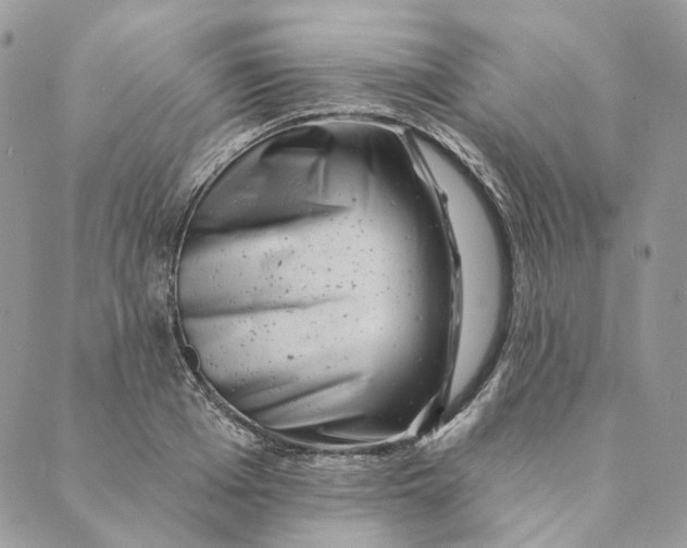 X0000088890985200706291435