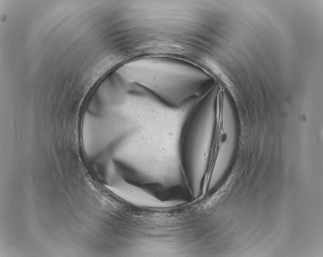 X0000088890986200706291435