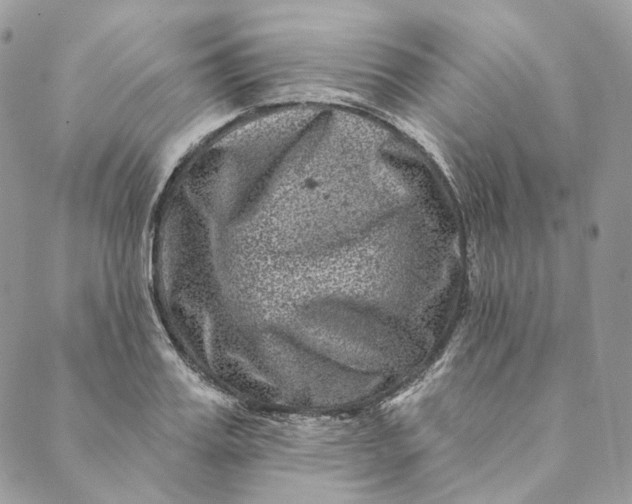 X0000088890987200706291435