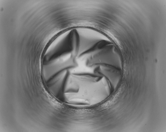 X0000088890988200706291435