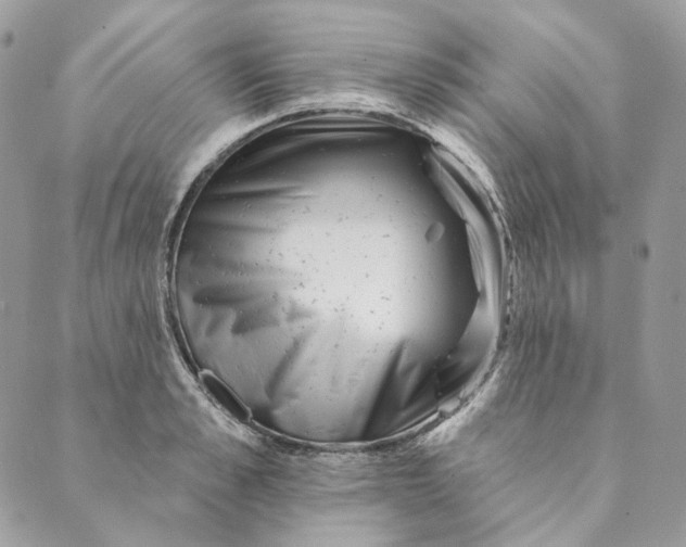 X0000088890989200706291435