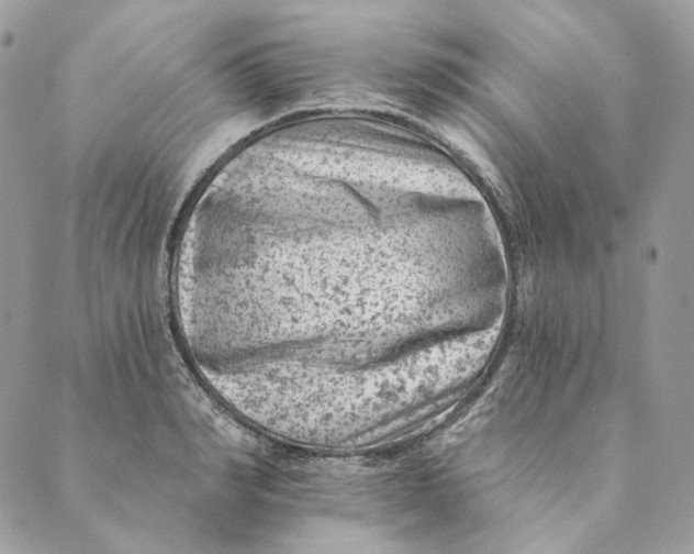 X0000088890990200706291435