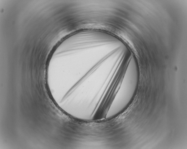 X0000088890992200706291435