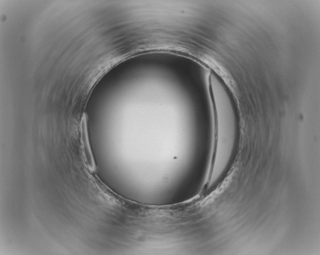 X0000088890993200706291435