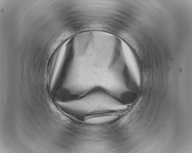 X0000088890994200706291435