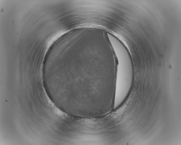 X0000088890995200706291435