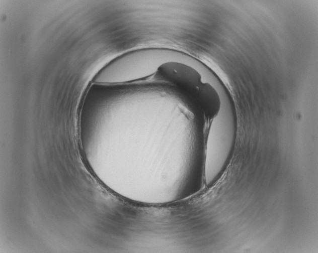 X0000088890996200706291435