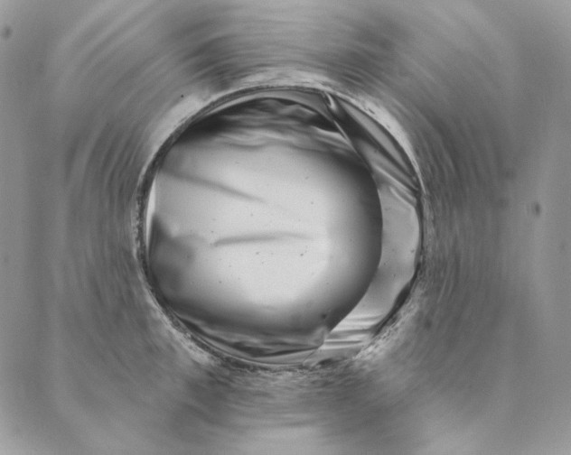 X0000088890997200706291435