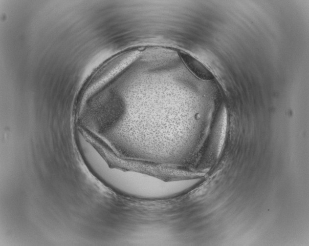 X0000088890998200706291435