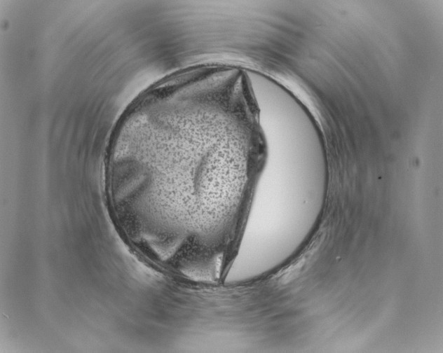 X0000088890999200706291435