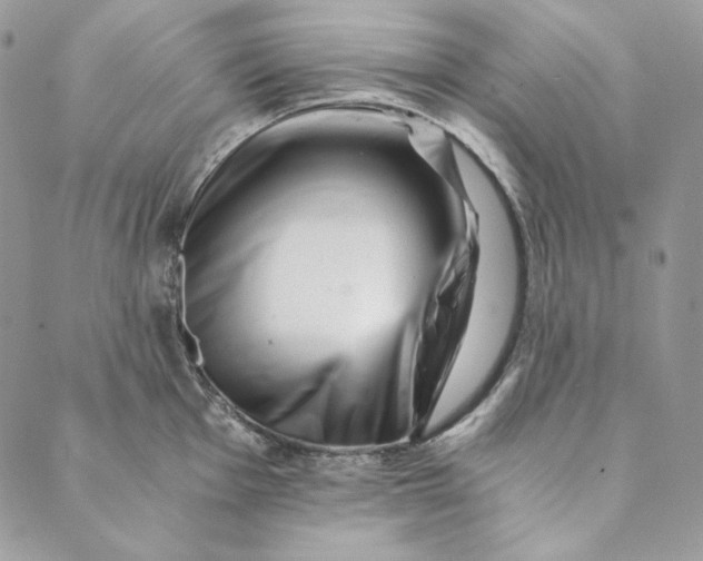 X0000088891001200706291435