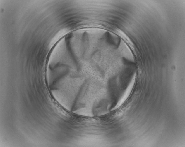 X0000088891002200706291435