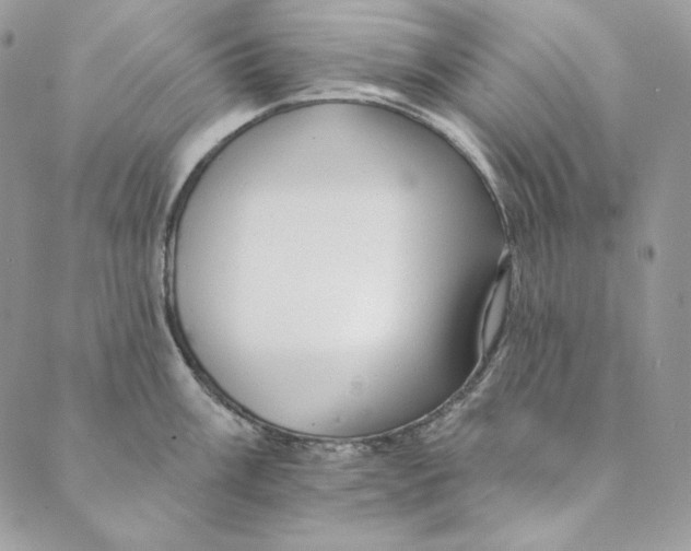 X0000088891003200706291435