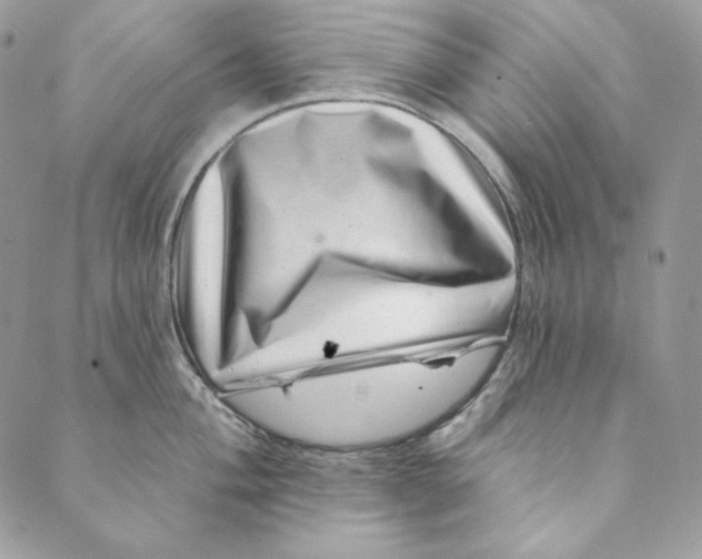 X0000088891004200706291435