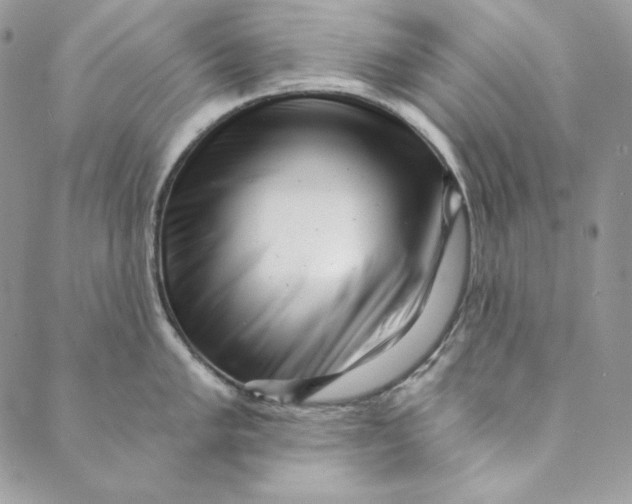 X0000088891005200706291435