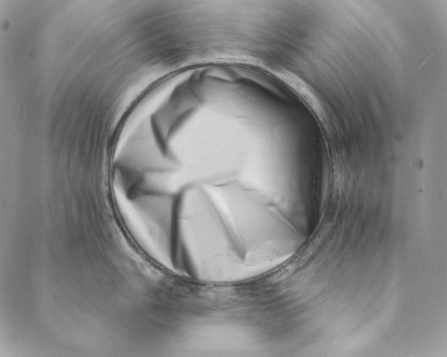 X0000088891006200706291435