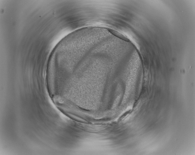 X0000088891007200706291435